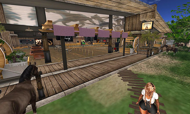 Euphoric Country Junction