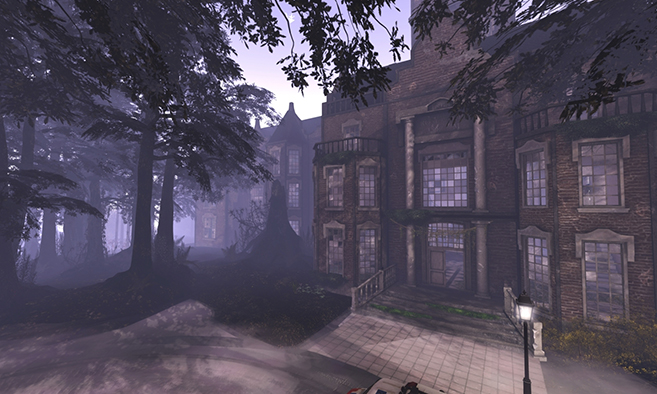 The Asylum in the Woods